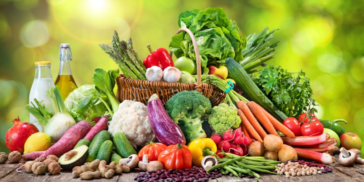 bases de la nutrition